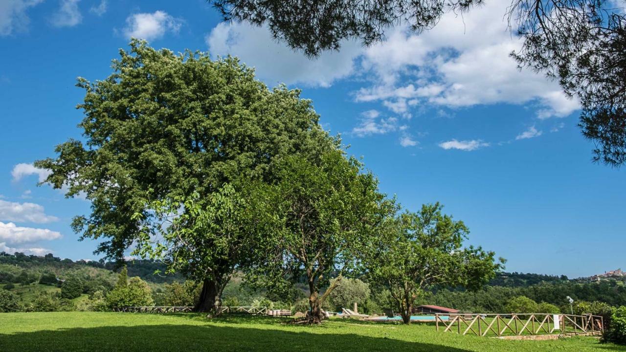 Agriturismo Bio Le Macchie Alte Manciano Eksteriør bilde